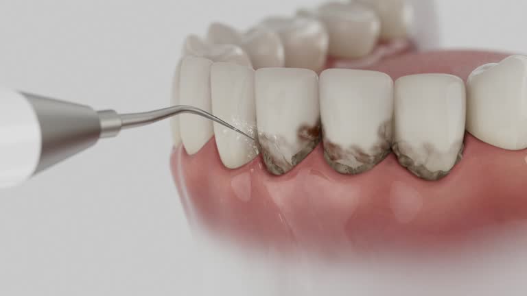 Reliable Dental contractor in North Scituate, MA by Dentist Open Now